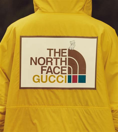 north face gucci prezzos|Gucci north face shop.